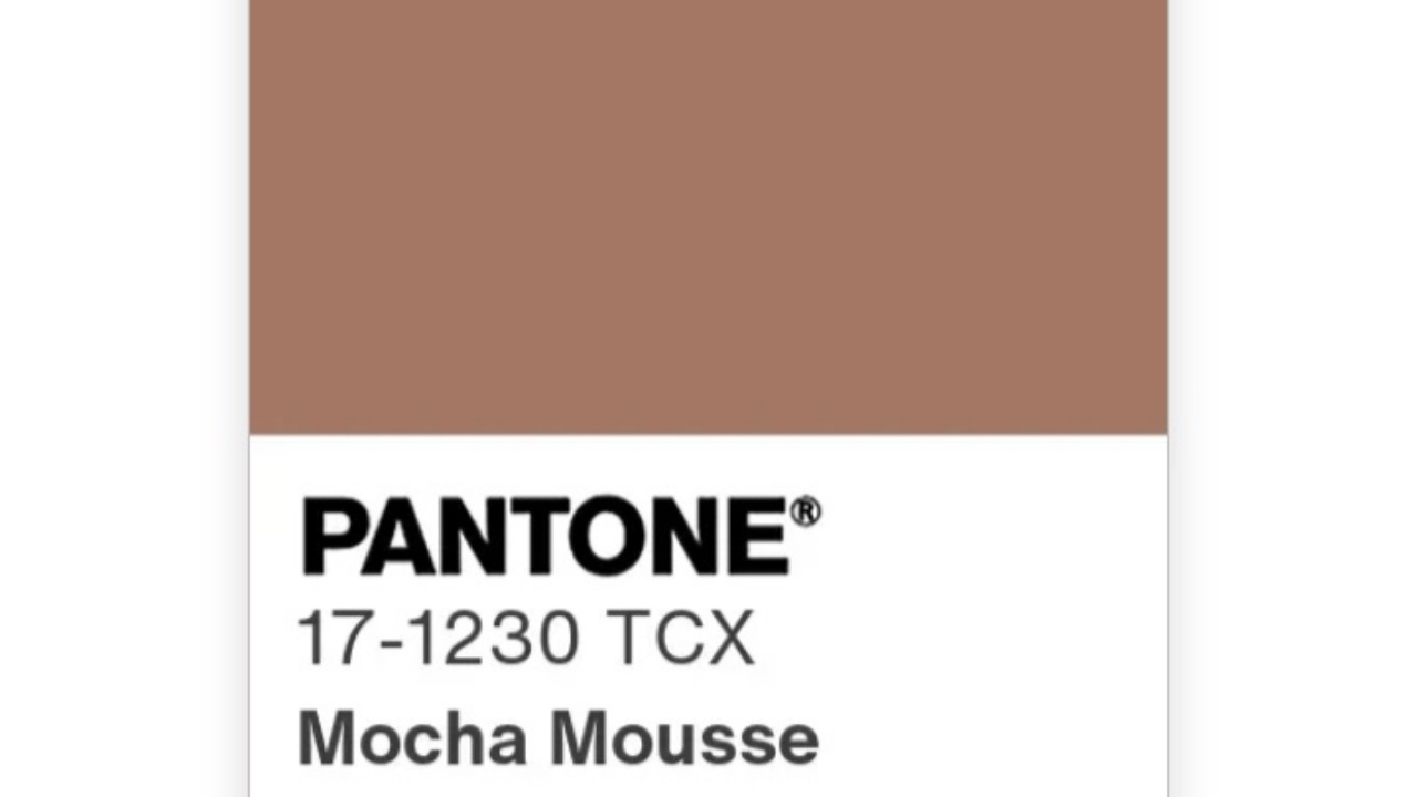Pantone Umumkan Mocha Mousse sebagai Color of the Year 2025