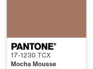 Pantone Umumkan Mocha Mousse sebagai Color of the Year 2025 