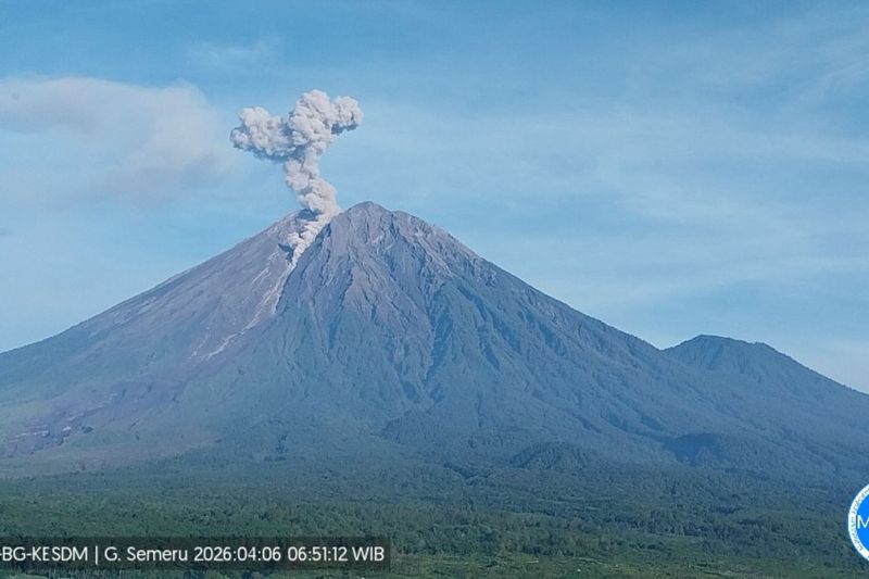Gunung Semeru 7 Kali Erupsi Menjelang Senin Siang, Tinggi Letusan hingga 1.100 Meter