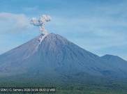 Gunung Semeru 7 Kali Erupsi Menjelang Senin Siang, Tinggi Letusan hingga 1.100 Meter