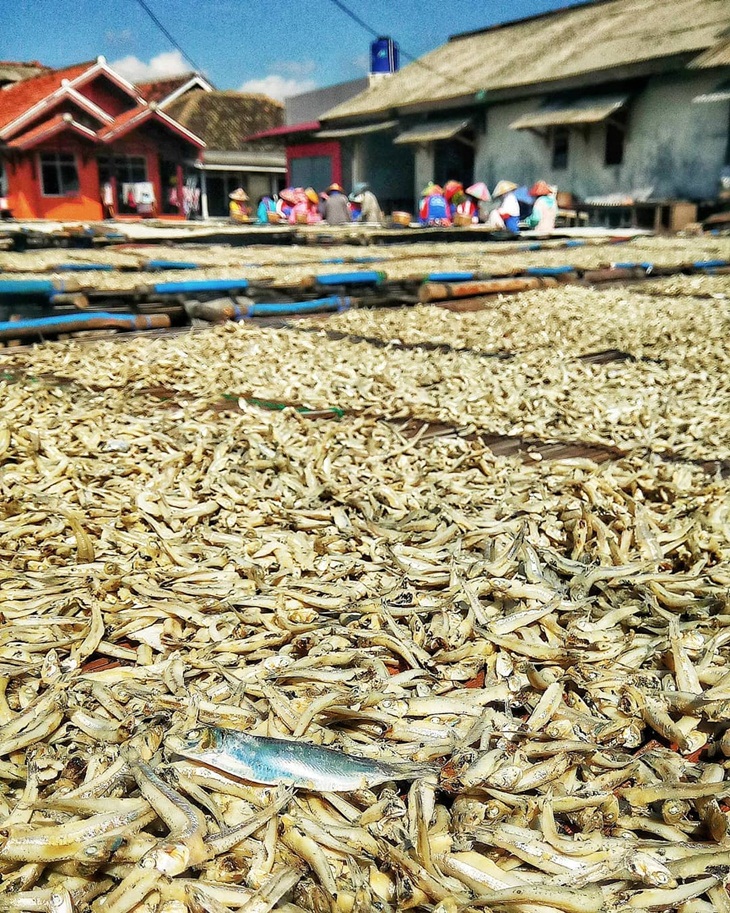 Ikan asin tengah dijemur di Pulau Pasaran. (Foto: instagram.com/eira_umblake)