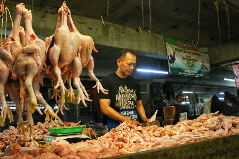 Harga Daging Ayam dan Cabai di Kota Bandung Terus Meningkat
