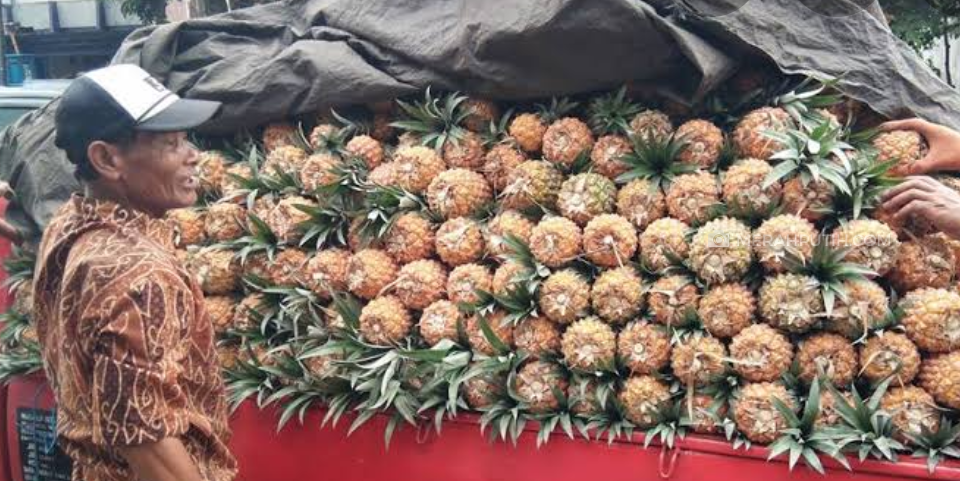 Penjual Nanas di Lereng Gunung Kelud Raup Untung di Tengah Pandemi COVID-19