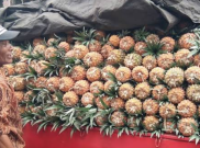 Penjual Nanas di Lereng Gunung Kelud Raup Untung di Tengah Pandemi COVID-19