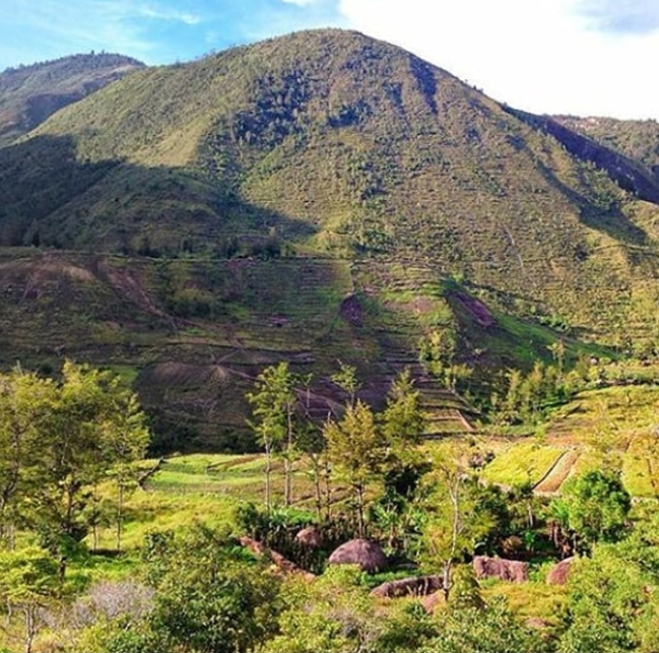 lembah baliem