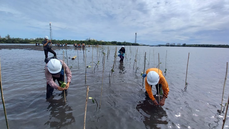 Pertamina Foundation Raih Penghargaan Environment Initiative of the Year
