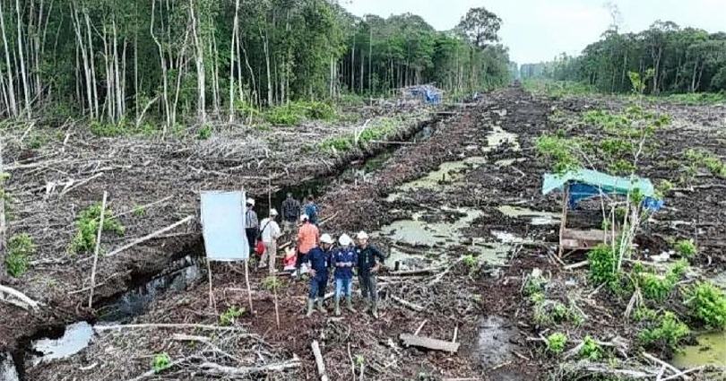 Soal Kerusakan Hutan, Kemenhut Duga Ada Aktivitas Ilegal yang Jadi Penyebab Bencana Sumatra