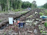 Soal Kerusakan Hutan, Kemenhut Duga Ada Aktivitas Ilegal yang Jadi Penyebab Bencana Sumatra