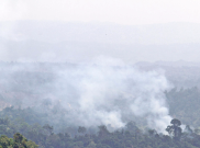 Belum Genap Sebulan, BNPB Catat 124,5 Hektare Lahan di Riau Terbakar