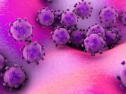 Jangan Salah Kaprah, Berikut Info Seputar Corona Menurut Ahli Kesehatan