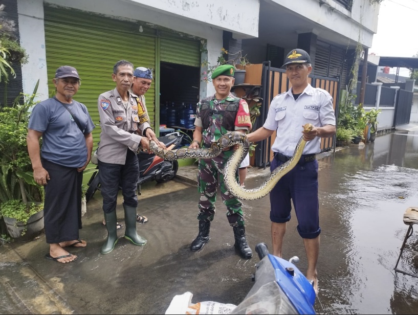 Geger, Ular Ditemukan Berkeliaran saat Banjir di Perumahan Taman Mangu Bintaro