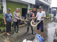 Geger, Ular Ditemukan Berkeliaran saat Banjir di Perumahan Taman Mangu Bintaro
