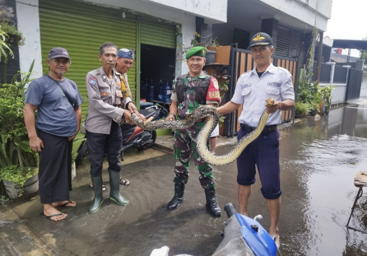 Geger, Ular Ditemukan Berkeliaran saat Banjir di Perumahan Taman Mangu Bintaro