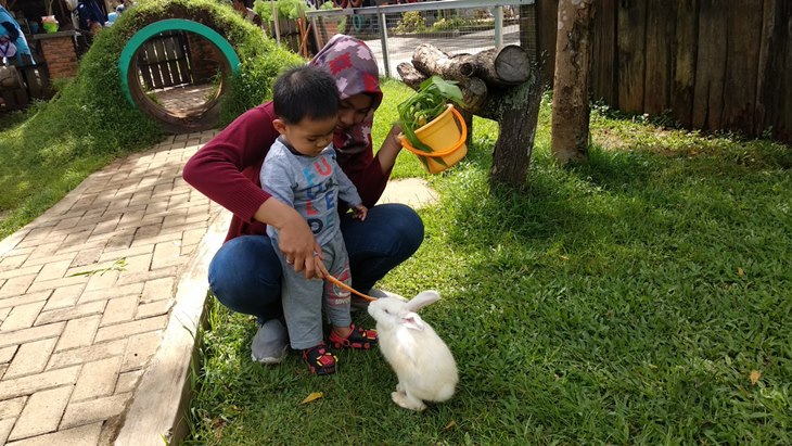 D’Kandang Amazing Farm, Wisata Edukasi yang Dirancang Sesuai Kurikulum