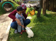 D’Kandang Amazing Farm, Wisata Edukasi yang Dirancang Sesuai Kurikulum