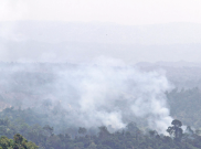 Menteri LHK Janji Sikat Siapapun yang Terbukti Lakukan Pembakaran Hutan dan Lahan