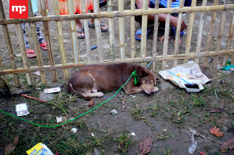 Makhluk Diduga Babi Ngepet Makanannya Roti, Nasi Uduk, dan Minum Kopi