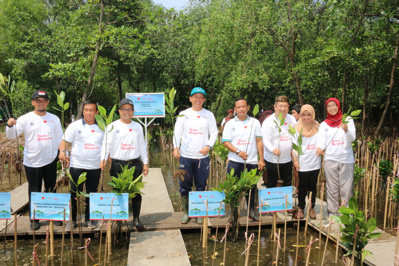 Bank DKI bersama Pemprov DKI Jakarta lakukan penanaman bibit tanaman mangrove sebanyak 5000 di Kawasan Ekowisata Mangrove Pantai Indah Kapuk, Jakarta Utara. Foto: Humas Bank DKI