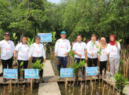 Dukung Penanganan Abrasi, Bank DKI Tanam 5000 Bibit Mangrove di Jakarta Utara