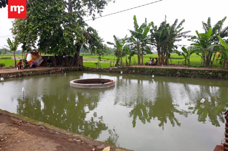 Tujuh Sumur Purbakala di Kaliwadas Kurang Perhatian Pemerintah