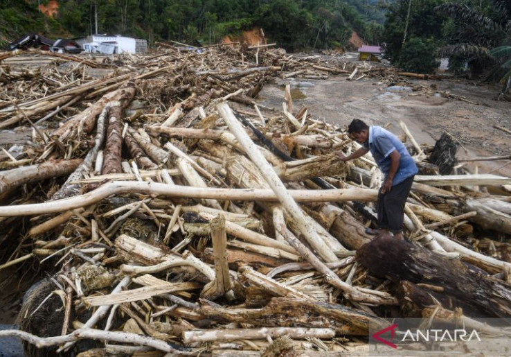 Kemenhut Jamin Status Kayu Gelondongan Terdampar di Lampung Legal, Bukan dari Banjir Sumatera