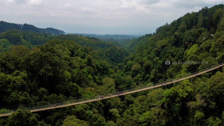 Menikmati Wisata Alam Soul-Calming nan Sejuk di Situ Gunung Sukabumi