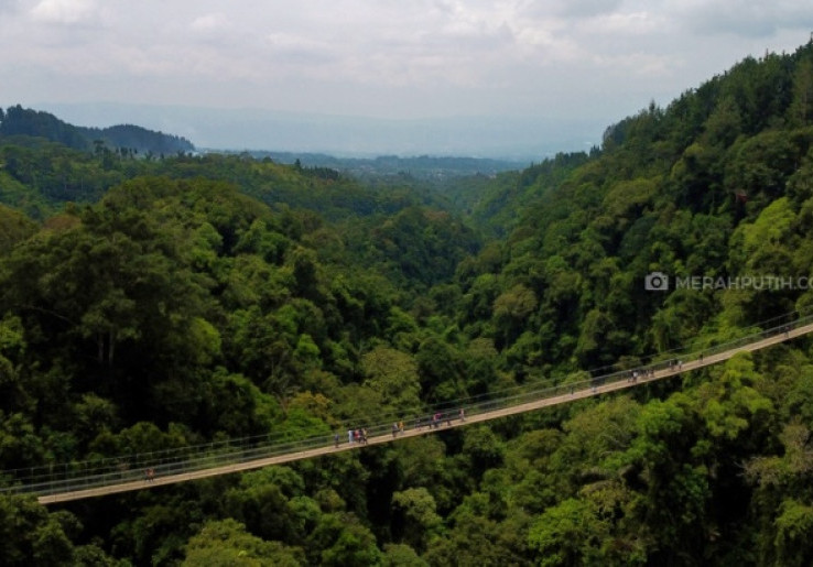 Menikmati Wisata Alam Soul-Calming nan Sejuk di Situ Gunung Sukabumi