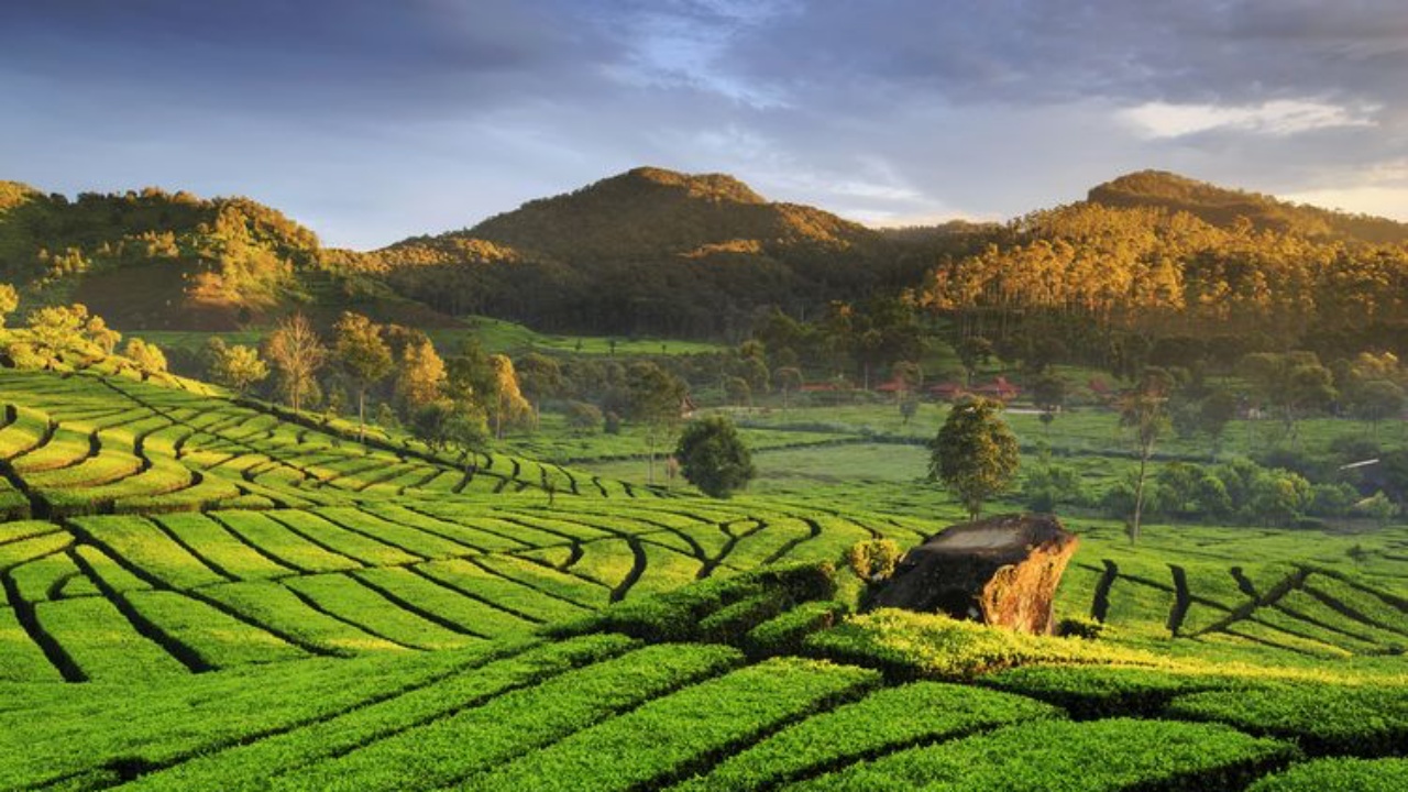 3 Destinasi Sejuk Dalam Negeri untuk Liburan Akhir Tahun