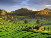 3 Destinasi Sejuk Dalam Negeri untuk Liburan Akhir Tahun