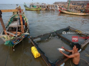 Menakar Potensi Tambak Udang dan Kepiting di Tarakan