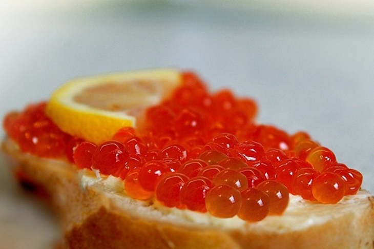 Dibalik Mewahnya Caviar, Ternyata Bermanfaat Bagi Tubuh