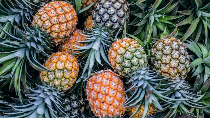 Australia Hentikan Penyidikan Antidumping Produk Nanas Indonesia