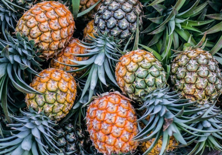 Australia Hentikan Penyidikan Antidumping Produk Nanas Indonesia