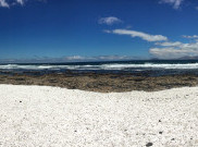 Popcorn Beach, Uniknya Pantai Berpasir Berondong Jagung