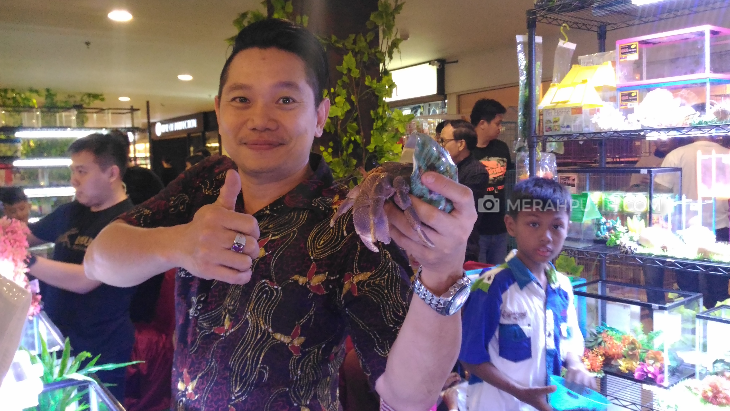 Festival Reptil: Keong Jumbo Usia 70 Tahun dan Biawak Obesitas Tarik Perhatian Pengunjung