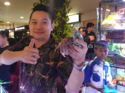 Festival Reptil: Keong Jumbo Usia 70 Tahun dan Biawak Obesitas Tarik Perhatian Pengunjung