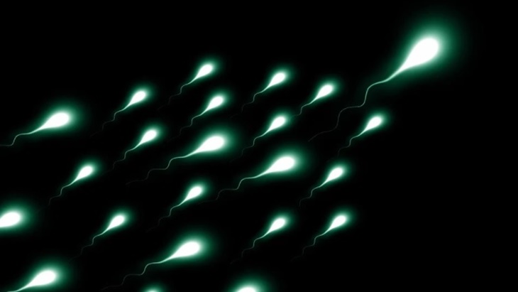 Benarkah Sperma Bisa Bertahan 200 Tahun di Antariksa?