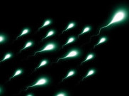 Benarkah Sperma Bisa Bertahan 200 Tahun di Antariksa?