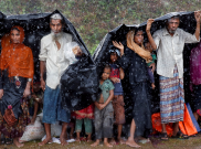 Duh, Pengungsi Rohingya Tewas Terinjak Kawanan Gajah Liar 