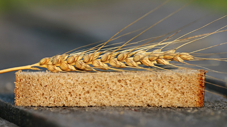 Gandum dan Roti. (Pixabay/klimkin)