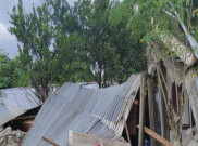 Seorang Warga Dilaporkan Meninggal Akibat Gempa Sulawesi Tengah, Menurut BNPB