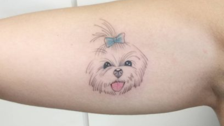 tato anjing