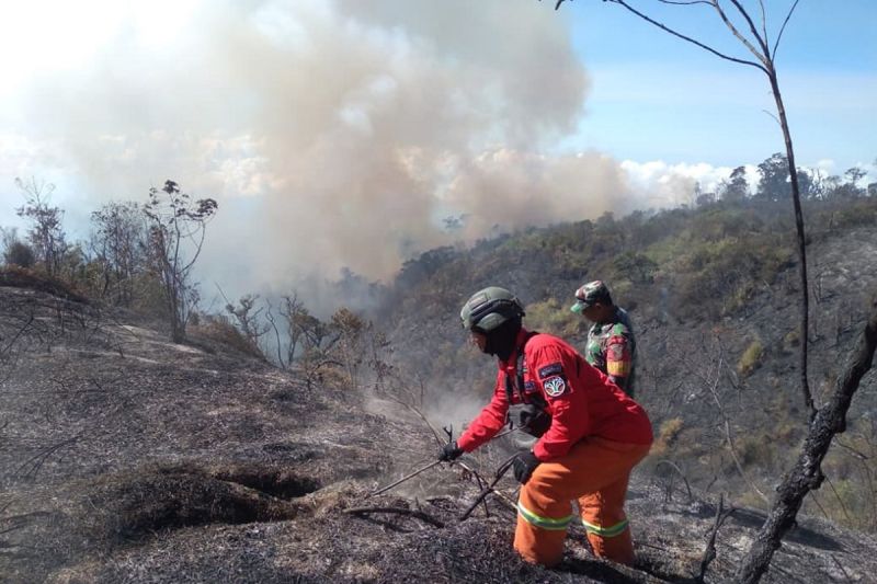Heli Terlanjur Dikirim ke Kalimantan Cuma Andalkan Jalur Darar, Kebakaran Semeru Meluas 600 Hektar 