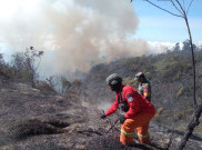 Heli Terlanjur Dikirim ke Kalimantan Cuma Andalkan Jalur Darat, Kebakaran Semeru Meluas 600 Hektar 