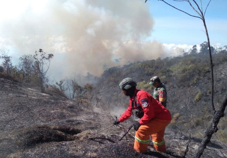 Heli Terlanjur Dikirim ke Kalimantan Cuma Andalkan Jalur Darat, Kebakaran Semeru Meluas 600 Hektar 
