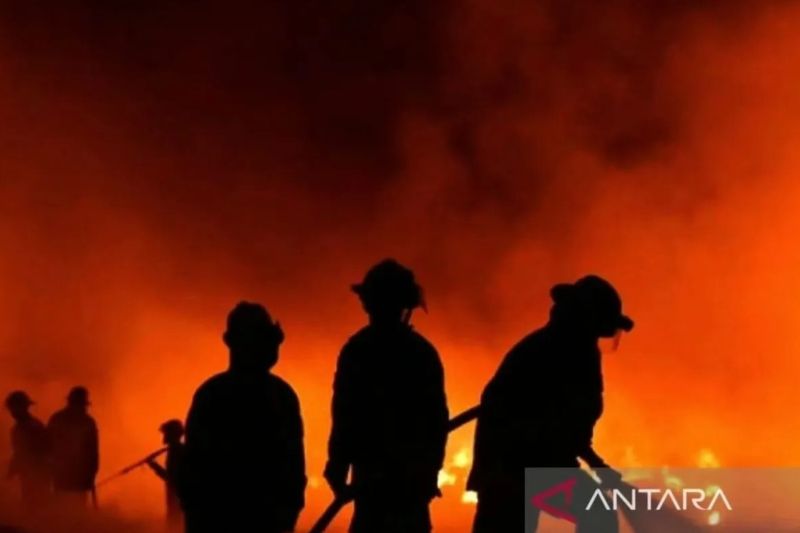 Banyak WNI Tinggal di Area Kebakaran Besar Sabah, Statusnya Nikah Campur 