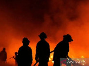 Banyak WNI Tinggal di Area Kebakaran Besar Sabah, Statusnya Nikah Campur 
