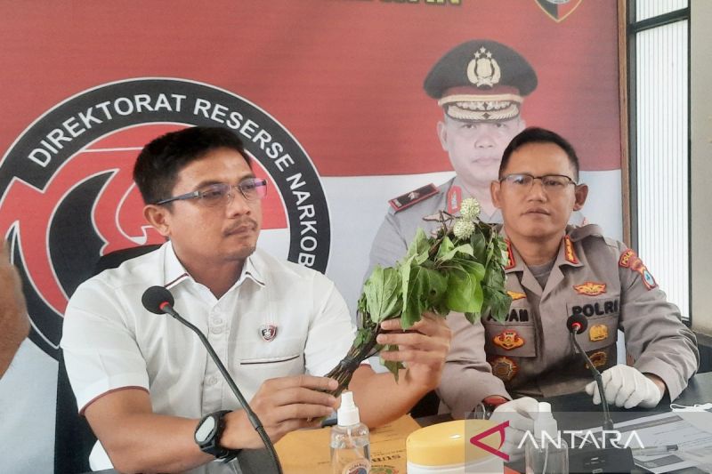 4 Penjual Obat Jadi Tersangka Kasus 47 Orang Mabuk Kecubung Masuk RSJ