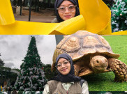 Tutorial Mudah Bikin Tren Photomontage Feed Sosmed Ala 'Zootopia 2' Pakai OPPO Reno 15 Series