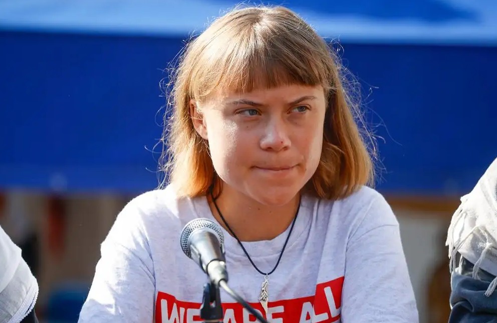 Greta Thunberg Soroti Karhutla Kalimantan, Serukan Solidaritas Internasional